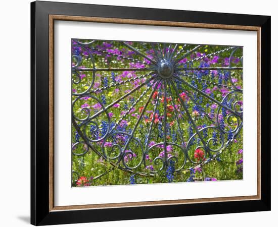 Wheel Gate and Fence with Blue Bonnets, Indian Paint Brush and Phlox, Near Devine, Texas, USA-Darrell Gulin-Framed Photographic Print