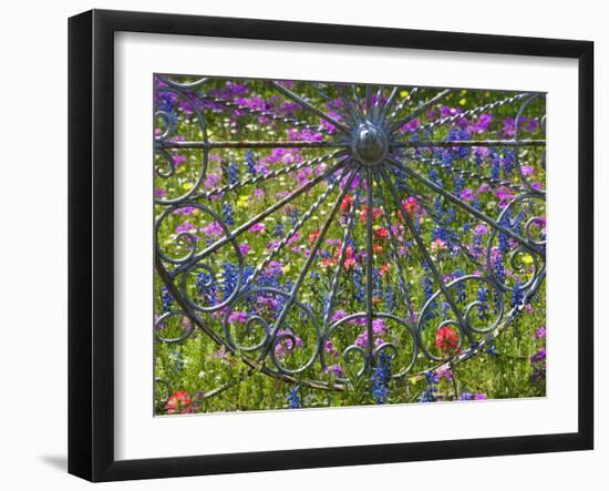 Wheel Gate and Fence with Blue Bonnets, Indian Paint Brush and Phlox, Near Devine, Texas, USA-Darrell Gulin-Framed Photographic Print