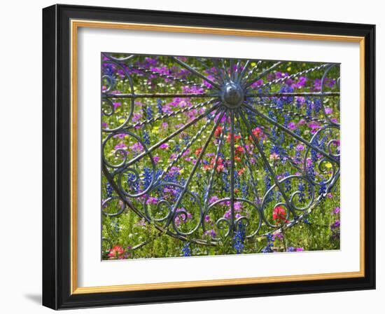 Wheel Gate and Fence with Blue Bonnets, Indian Paint Brush and Phlox, Near Devine, Texas, USA-Darrell Gulin-Framed Photographic Print