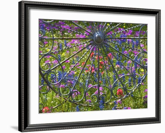 Wheel Gate and Fence with Blue Bonnets, Indian Paint Brush and Phlox, Near Devine, Texas, USA-Darrell Gulin-Framed Photographic Print