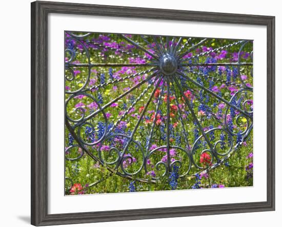 Wheel Gate and Fence with Blue Bonnets, Indian Paint Brush and Phlox, Near Devine, Texas, USA-Darrell Gulin-Framed Photographic Print