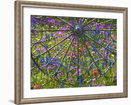 Wheel Gate and Fence with Blue Bonnets, Indian Paint Brush and Phlox, Near Devine, Texas, USA-Darrell Gulin-Framed Photographic Print