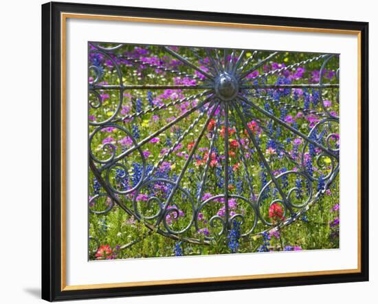 Wheel Gate and Fence with Blue Bonnets, Indian Paint Brush and Phlox, Near Devine, Texas, USA-Darrell Gulin-Framed Photographic Print