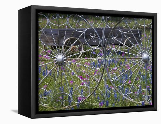 Wheel Gate and Fence with Blue Bonnets, Indian Paint Brush and Phlox, Near Devine, Texas, USA-Darrell Gulin-Framed Premier Image Canvas