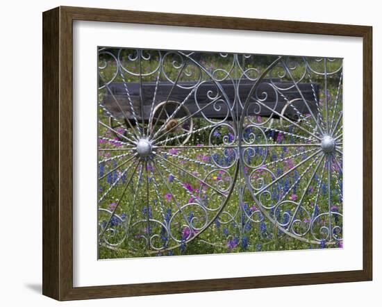 Wheel Gate and Fence with Blue Bonnets, Indian Paint Brush and Phlox, Near Devine, Texas, USA-Darrell Gulin-Framed Photographic Print