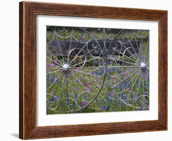 Wheel Gate and Fence with Blue Bonnets, Indian Paint Brush and Phlox, Near Devine, Texas, USA-Darrell Gulin-Framed Photographic Print