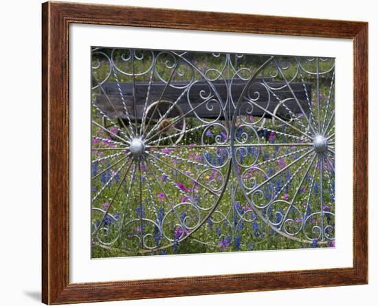 Wheel Gate and Fence with Blue Bonnets, Indian Paint Brush and Phlox, Near Devine, Texas, USA-Darrell Gulin-Framed Photographic Print