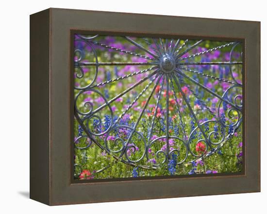 Wheel Gate and Fence with Blue Bonnets, Indian Paint Brush and Phlox, Near Devine, Texas, USA-Darrell Gulin-Framed Premier Image Canvas