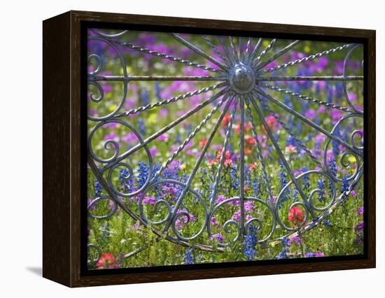 Wheel Gate and Fence with Blue Bonnets, Indian Paint Brush and Phlox, Near Devine, Texas, USA-Darrell Gulin-Framed Premier Image Canvas