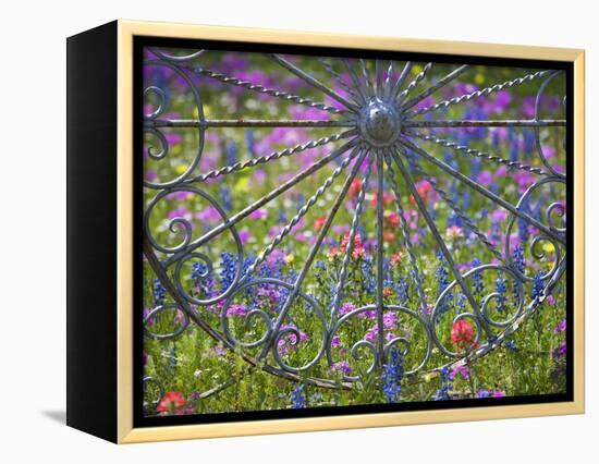 Wheel Gate and Fence with Blue Bonnets, Indian Paint Brush and Phlox, Near Devine, Texas, USA-Darrell Gulin-Framed Premier Image Canvas