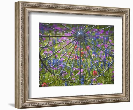 Wheel Gate and Fence with Blue Bonnets, Indian Paint Brush and Phlox, Near Devine, Texas, USA-Darrell Gulin-Framed Photographic Print