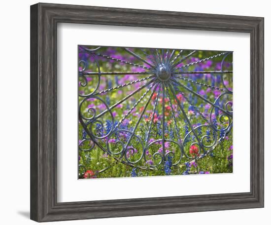 Wheel Gate and Fence with Blue Bonnets, Indian Paint Brush and Phlox, Near Devine, Texas, USA-Darrell Gulin-Framed Photographic Print