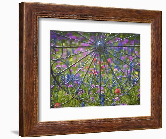 Wheel Gate and Fence with Blue Bonnets, Indian Paint Brush and Phlox, Near Devine, Texas, USA-Darrell Gulin-Framed Photographic Print