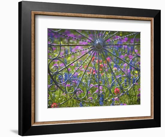 Wheel Gate and Fence with Blue Bonnets, Indian Paint Brush and Phlox, Near Devine, Texas, USA-Darrell Gulin-Framed Photographic Print