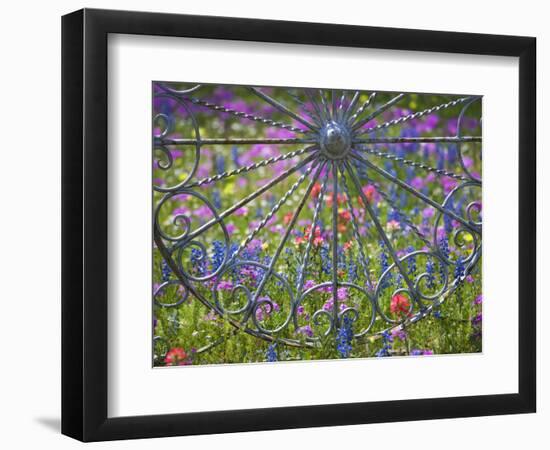 Wheel Gate and Fence with Blue Bonnets, Indian Paint Brush and Phlox, Near Devine, Texas, USA-Darrell Gulin-Framed Photographic Print