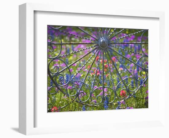 Wheel Gate and Fence with Blue Bonnets, Indian Paint Brush and Phlox, Near Devine, Texas, USA-Darrell Gulin-Framed Photographic Print