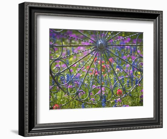 Wheel Gate and Fence with Blue Bonnets, Indian Paint Brush and Phlox, Near Devine, Texas, USA-Darrell Gulin-Framed Photographic Print