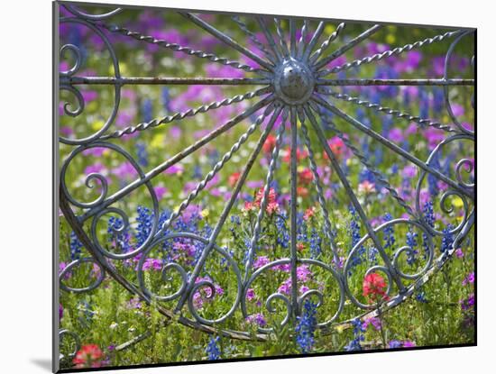 Wheel Gate and Fence with Blue Bonnets, Indian Paint Brush and Phlox, Near Devine, Texas, USA-Darrell Gulin-Mounted Photographic Print