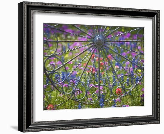 Wheel Gate and Fence with Blue Bonnets, Indian Paint Brush and Phlox, Near Devine, Texas, USA-Darrell Gulin-Framed Photographic Print