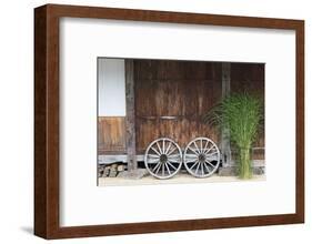 Wheel with Gassho-zukuri house, Ainokura Village, Gokayama, Japan-Keren Su-Framed Photographic Print