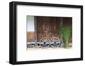 Wheel with Gassho-zukuri house, Ainokura Village, Gokayama, Japan-Keren Su-Framed Photographic Print