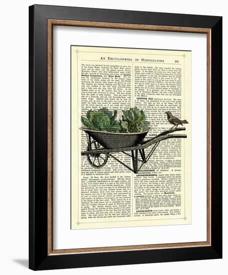 Wheelbarrow Lettuce & Bird-Marion Mcconaghie-Framed Giclee Print