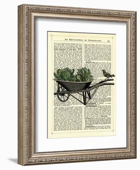 Wheelbarrow Lettuce & Bird-Marion Mcconaghie-Framed Art Print