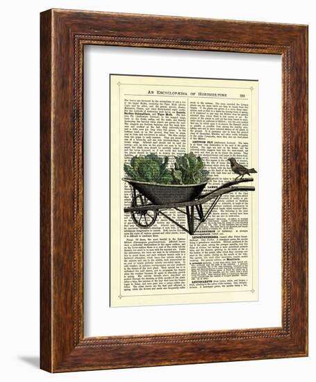 Wheelbarrow Lettuce & Bird-Marion Mcconaghie-Framed Art Print