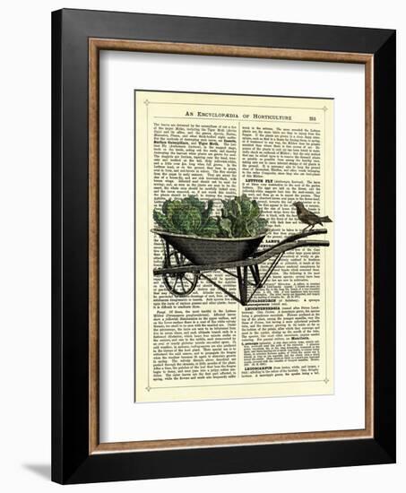 Wheelbarrow Lettuce & Bird-Marion Mcconaghie-Framed Art Print