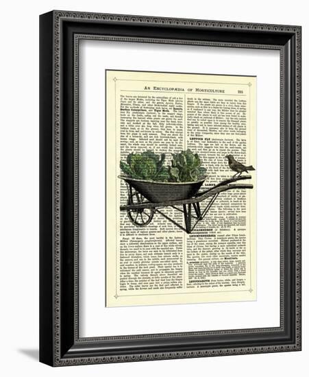 Wheelbarrow Lettuce & Bird-Marion Mcconaghie-Framed Art Print