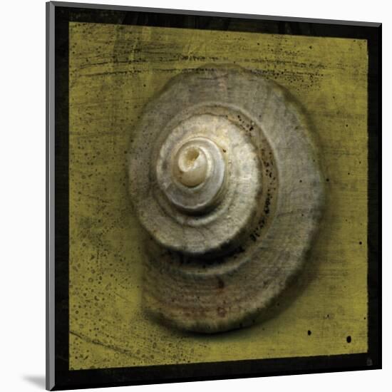 Whelk Crown-John Golden-Mounted Giclee Print