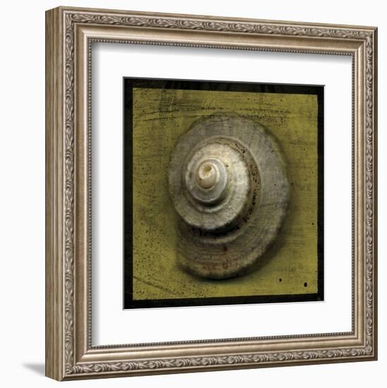 Whelk Crown-John W^ Golden-Framed Art Print