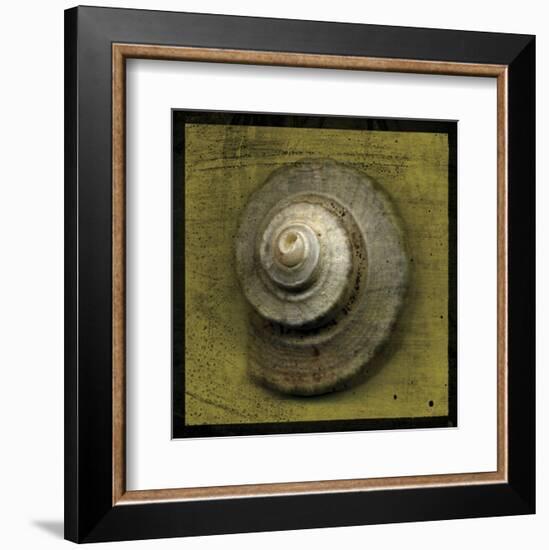 Whelk Crown-John W^ Golden-Framed Art Print