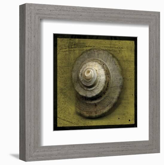 Whelk Crown-John W^ Golden-Framed Art Print