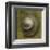 Whelk Crown-John W^ Golden-Framed Art Print
