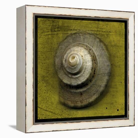 Whelk Crown-John W Golden-Framed Premier Image Canvas