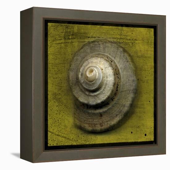 Whelk Crown-John W Golden-Framed Premier Image Canvas