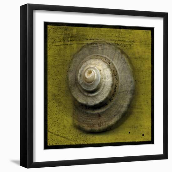 Whelk Crown-John W Golden-Framed Premium Giclee Print