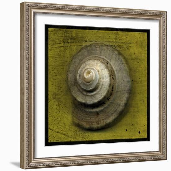 Whelk Crown-John W Golden-Framed Giclee Print