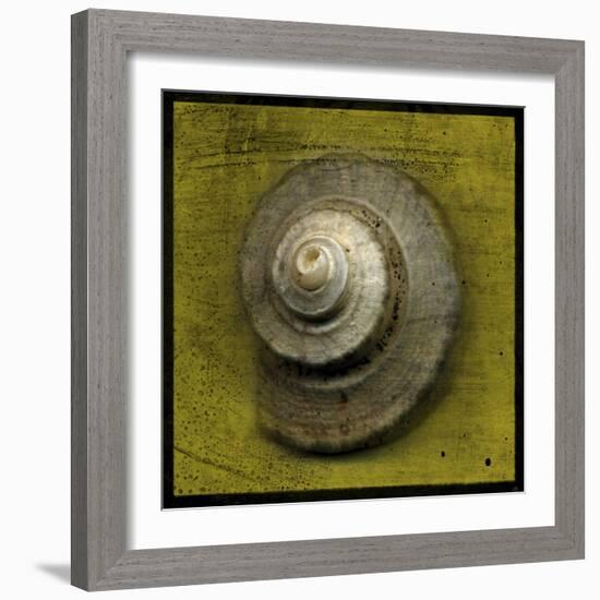 Whelk Crown-John W Golden-Framed Giclee Print