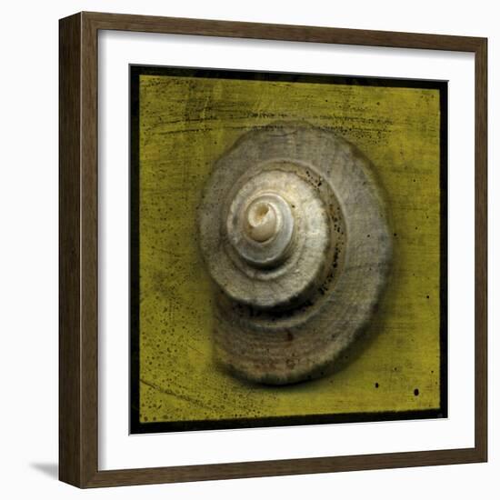 Whelk Crown-John W Golden-Framed Giclee Print