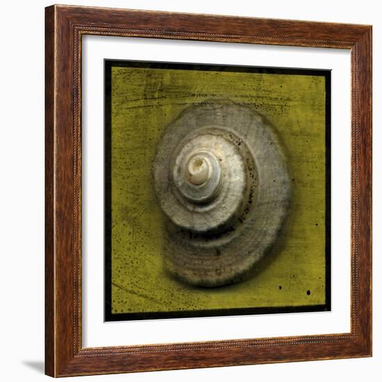 Whelk Crown-John W Golden-Framed Giclee Print