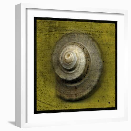 Whelk Crown-John W Golden-Framed Giclee Print