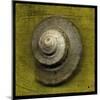 Whelk Crown-John W Golden-Mounted Giclee Print