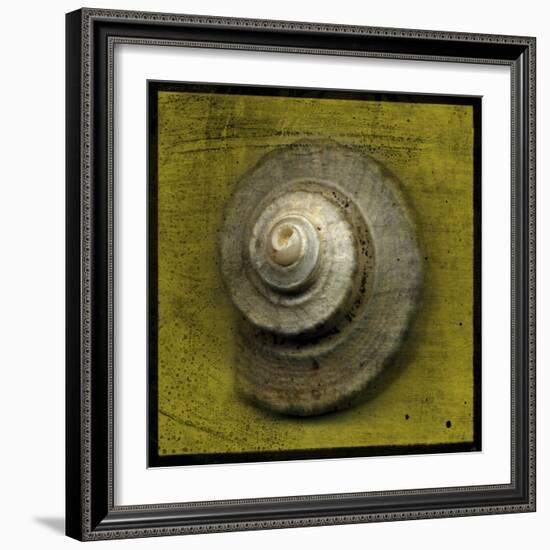 Whelk Crown-John W Golden-Framed Giclee Print