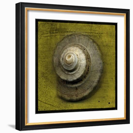 Whelk Crown-John W Golden-Framed Giclee Print