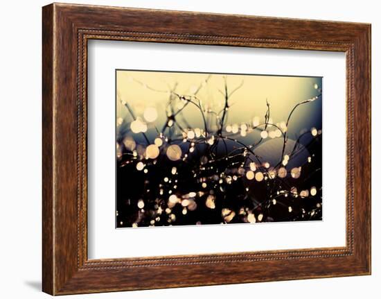 When Fairies Dance-Incredi-Framed Photographic Print