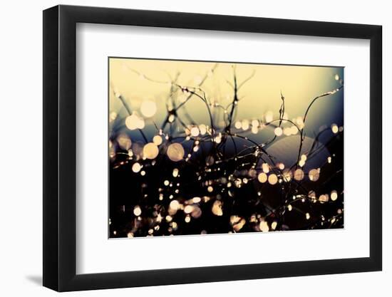 When Fairies Dance-Incredi-Framed Photographic Print