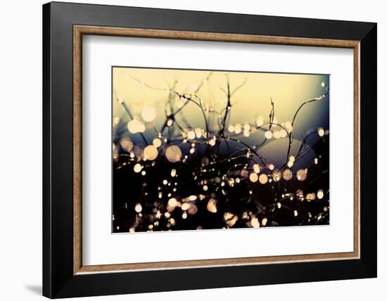 When Fairies Dance-Incredi-Framed Photographic Print