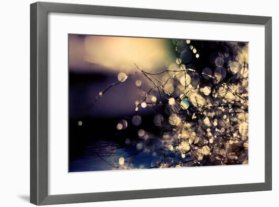 When Fairies Dream-Incredi-Framed Photographic Print